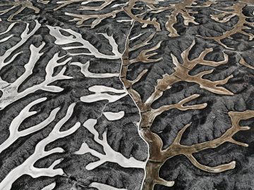 Edward BURTYNSKY (*1955, Canada): Dryland Farming #2 – Christophe Guye Galerie