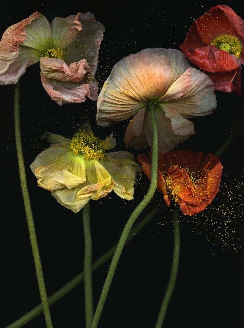 Emma SUMMERTON (*1970, Australia): By Moonlight 21:20 – Christophe Guye Galerie