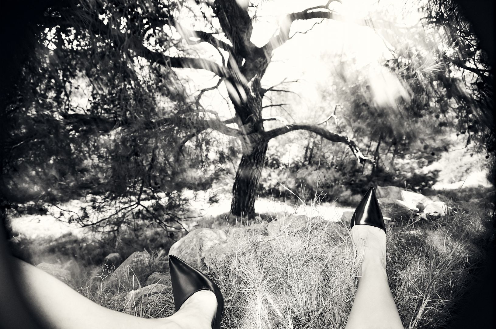 Emma SUMMERTON (*1970, Australia): Hydrea #003 – Christophe Guye Galerie