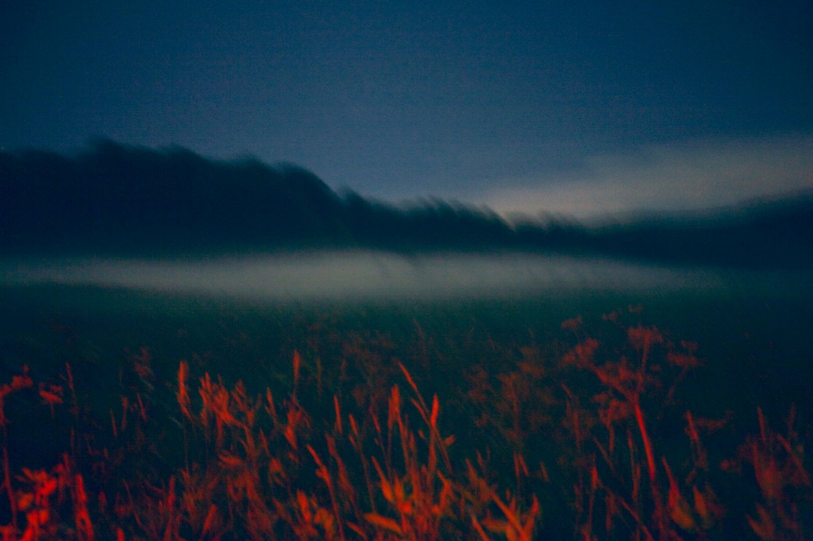 Erik MADIGAN HECK (*1983, United States): Acid Landscape – Christophe Guye Galerie