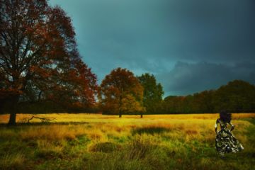 Erik MADIGAN HECK (*1983, United States): Richmond Park, Old Future – Christophe Guye Galerie