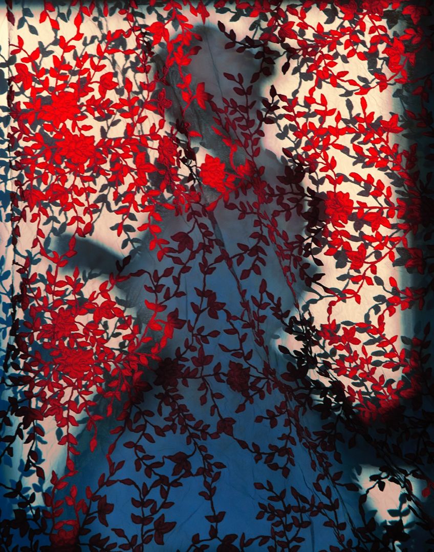 Erik MADIGAN HECK (*1983, United States): Not Titled Yet – Christophe Guye Galerie