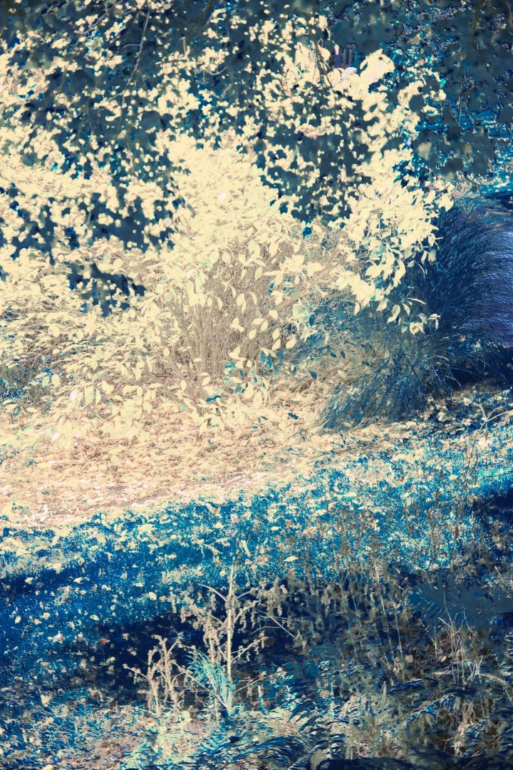 Erik MADIGAN HECK (*1983, United States): Not Titled Yet – Christophe Guye Galerie