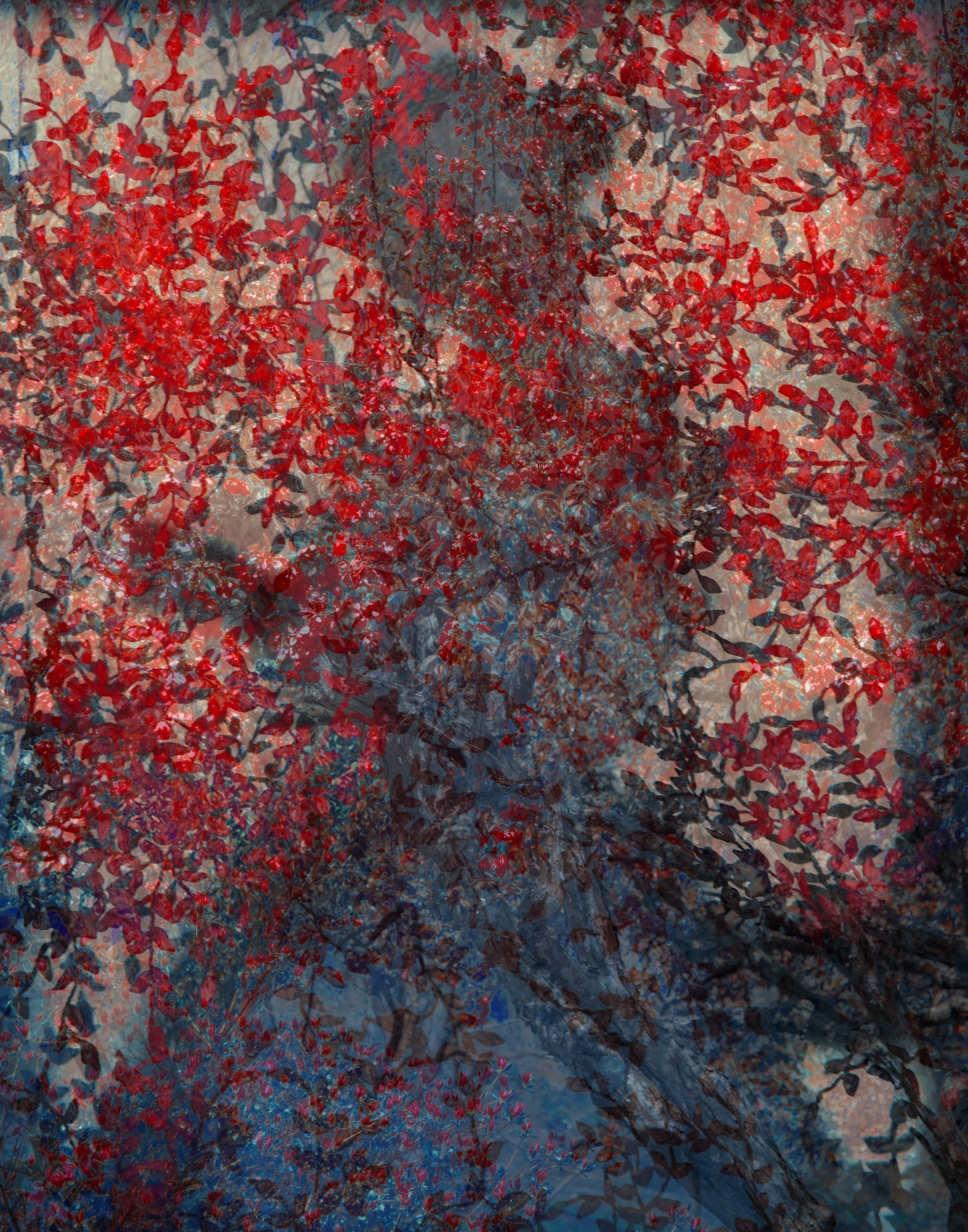 Christophe-Guye-Galerie-Erik-
