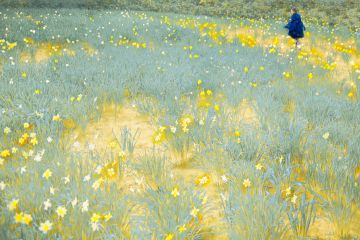 Erik MADIGAN HECK (*1983, United States): Blue Ink on Yellow – Christophe Guye Galerie