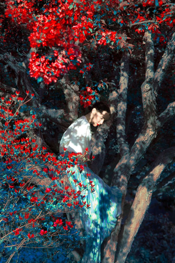 Erik MADIGAN HECK (*1983, United States): Brianna sitting in Apple Orchard, The Garden – Christophe Guye Galerie