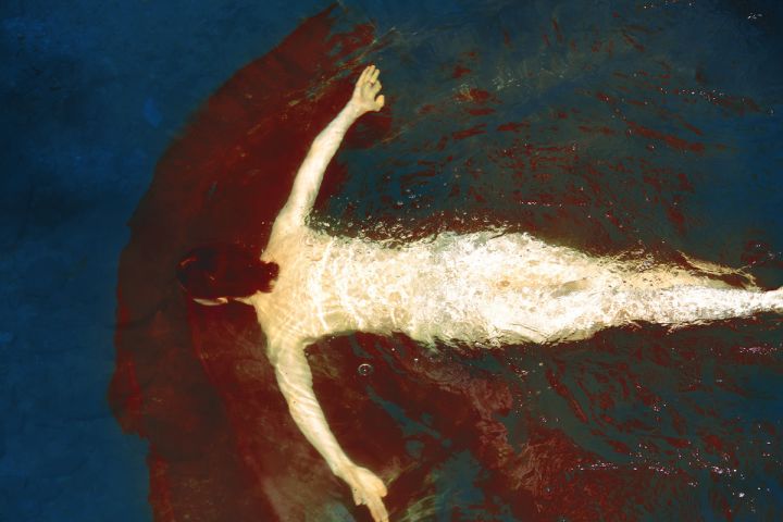 The Garden – Christophe Guye Galerie