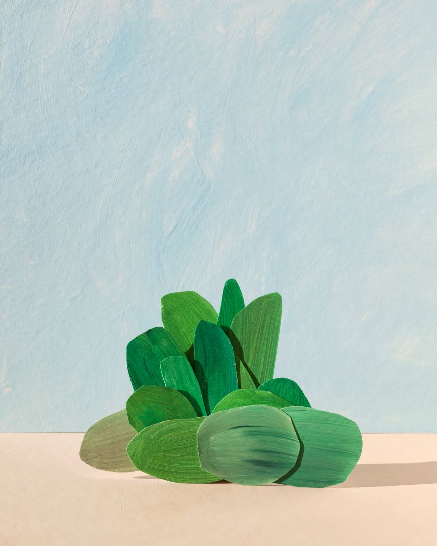 Ina JANG (*1982, South Korea): shrubs from 'Radiator Theatre' – Christophe Guye Galerie