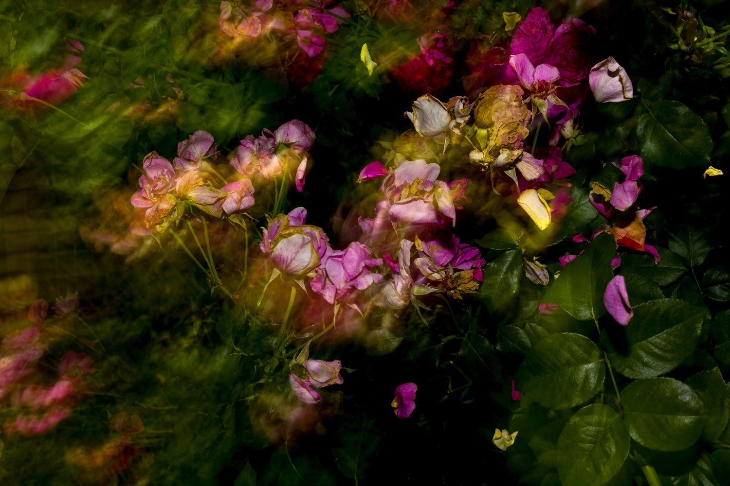 Jun AHN (*1981, South Korea): Untitled #10 – Christophe Guye Galerie