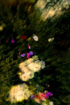 Jun AHN (*1981, South Korea): Untitled #26 – Christophe Guye Galerie