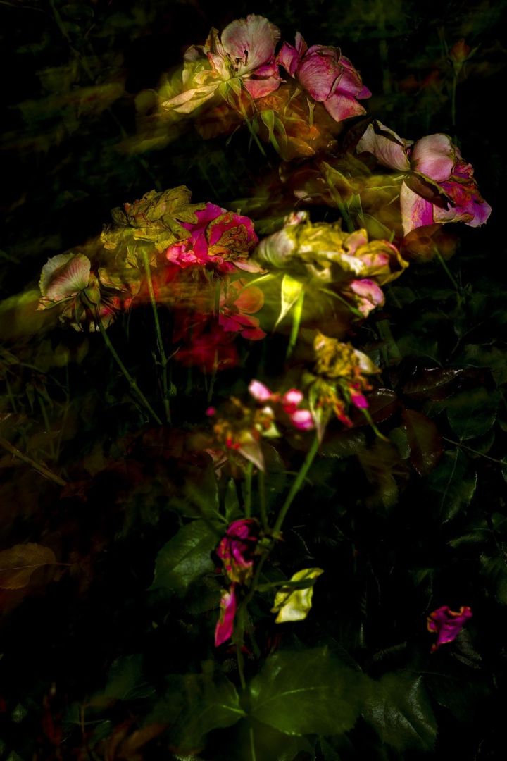 Jun AHN (*1981, South Korea): Untitled #15 – Christophe Guye Galerie