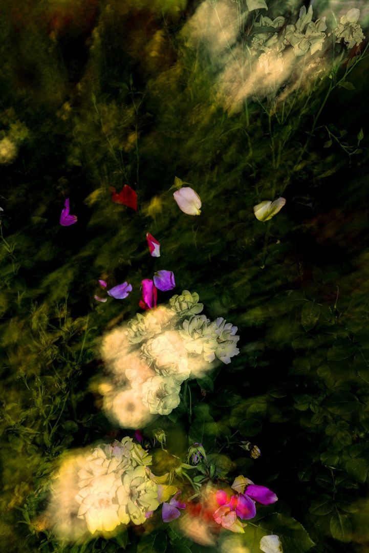 Jun AHN (*1981, South Korea): Untitled #26 – Christophe Guye Galerie
