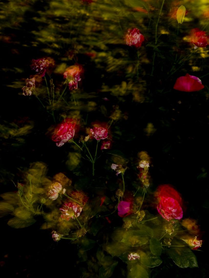 Jun AHN (*1981, South Korea): Untitled #29 – Christophe Guye Galerie