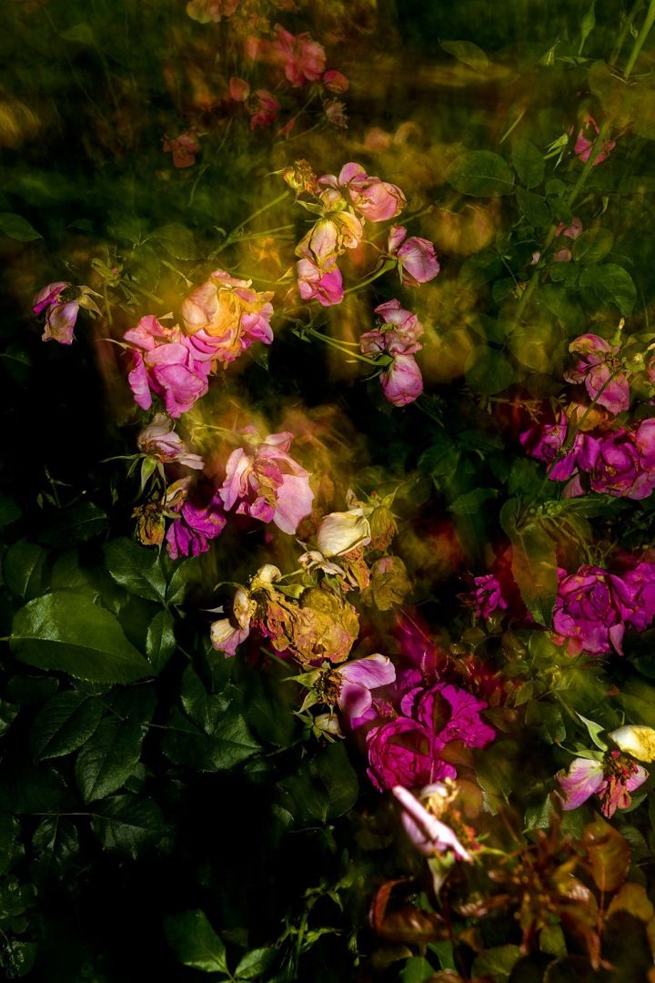Jun AHN (*1981, South Korea): Untitled #39 – Christophe Guye Galerie
