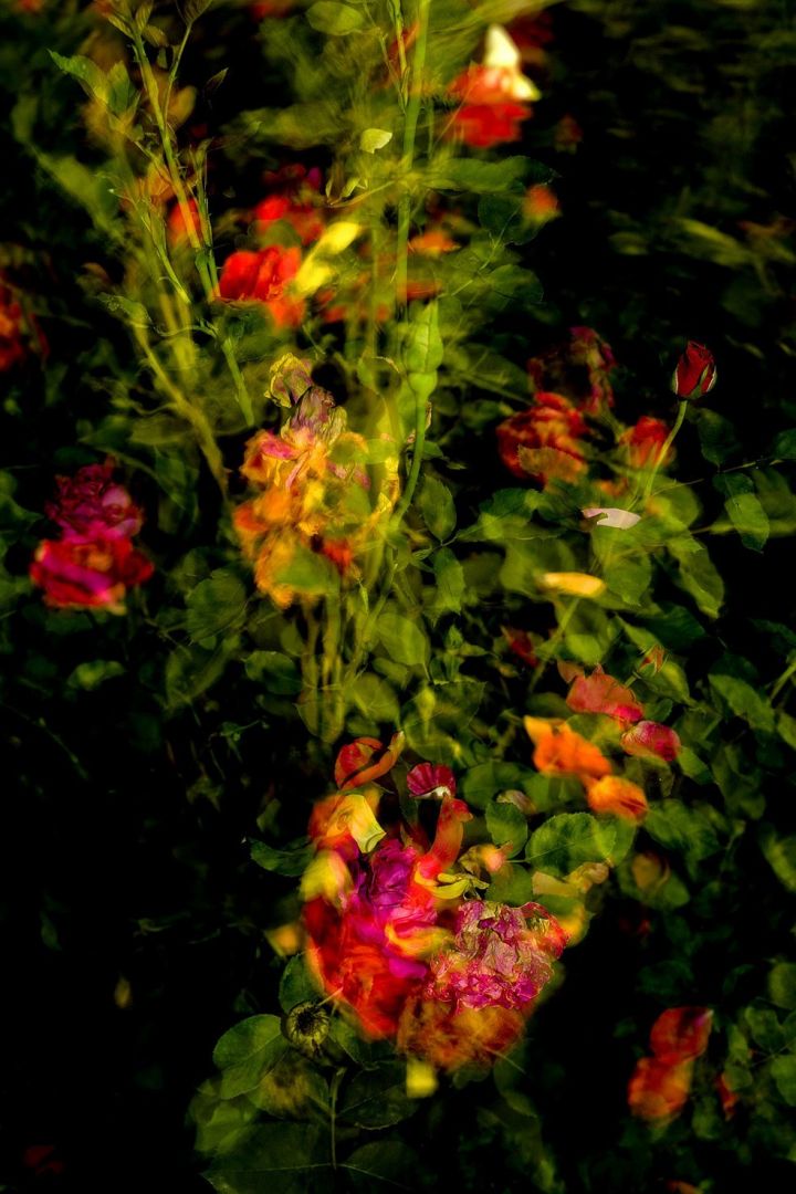 Jun AHN (*1981, South Korea): Untitled #5 – Christophe Guye Galerie