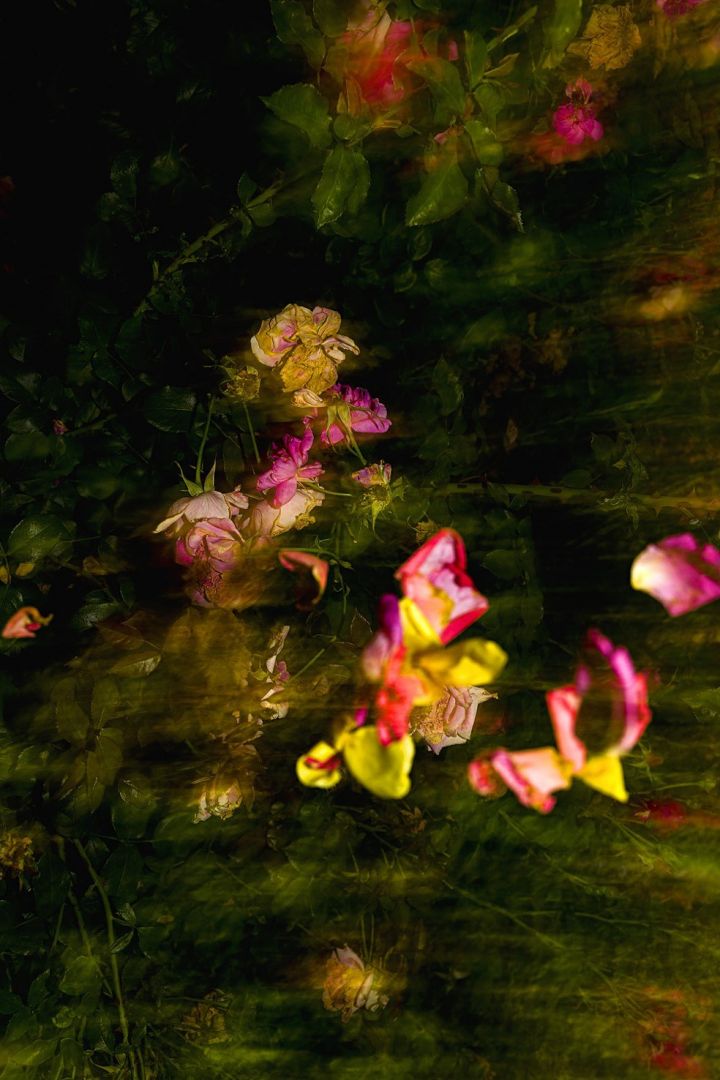 Jun AHN (*1981, South Korea): Untitled #8 – Christophe Guye Galerie