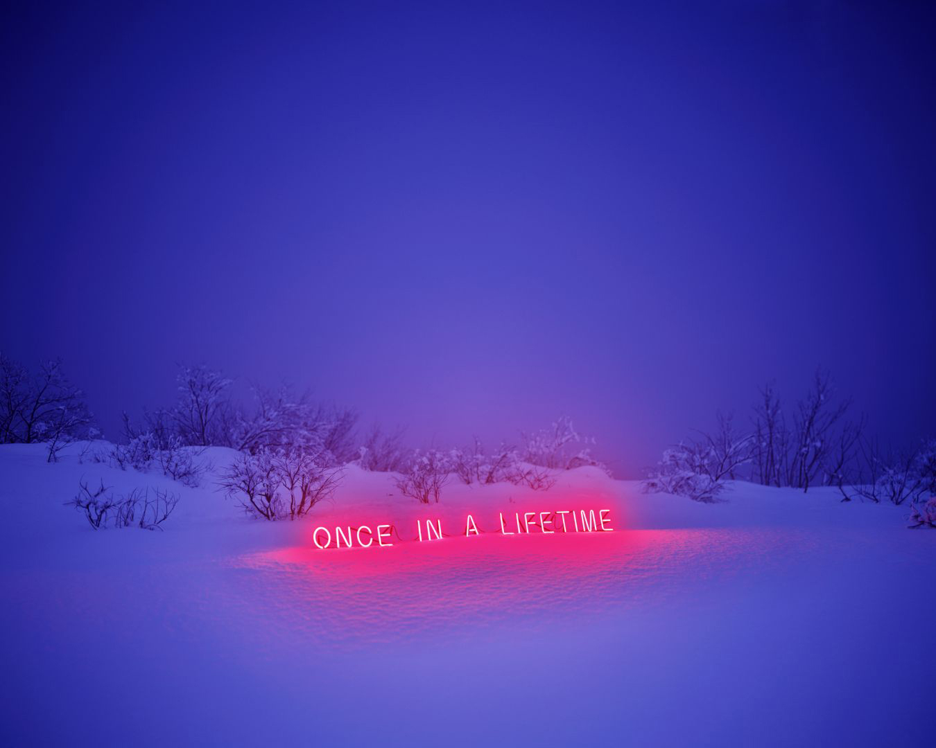 Jung LEE (*1972, South Korea): Once In A Lifetime – Christophe Guye Galerie