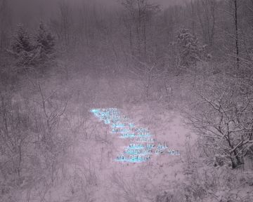 Jung LEE (*1972, South Korea): To Death – Christophe Guye Galerie