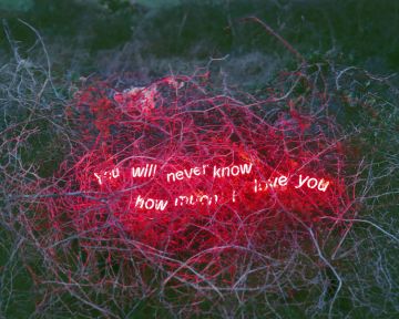 Jung LEE (*1972, South Korea): You Will Never Know How Much I Love You – Christophe Guye Galerie