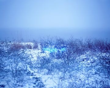 Jung LEE (*1972, South Korea): Promise Me – Christophe Guye Galerie