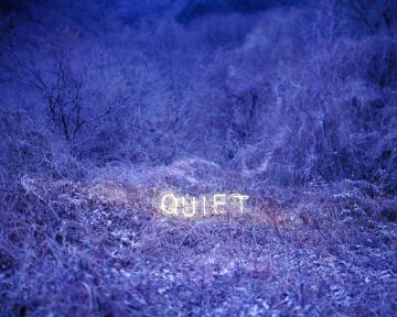 Jung LEE (*1972, South Korea): QUIET – Christophe Guye Galerie