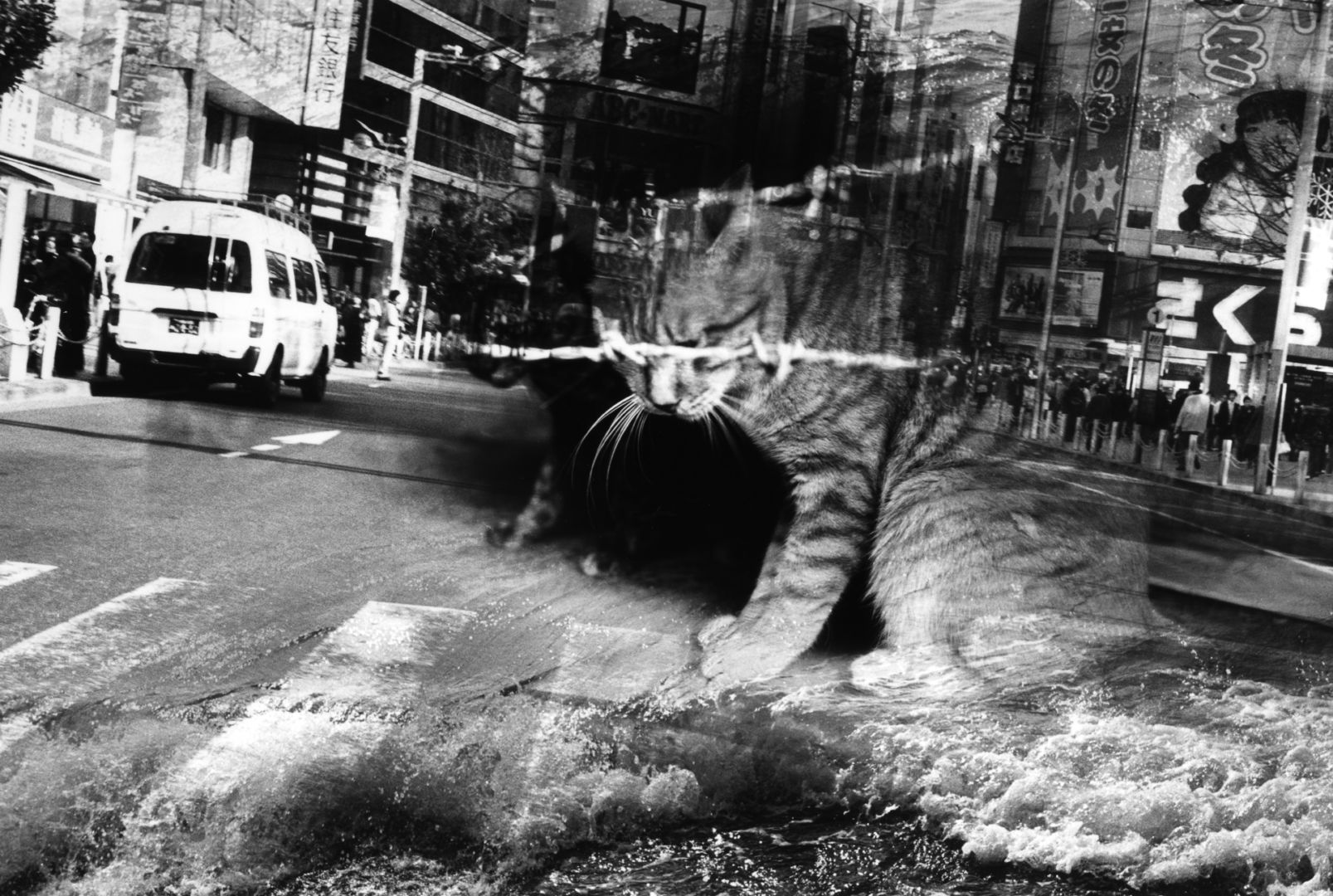 Kosuke (*1986, Japan) : WARNING #27 – Christophe Guye Galerie