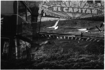  Kosuke (*1986, Japan): WARNING #08 – Christophe Guye Galerie