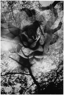 Kosuke (*1986, Japan): WARNING #17 – Christophe Guye Galerie