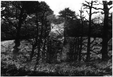Kosuke (*1986, Japan) : WARNING #28 – Christophe Guye Galerie