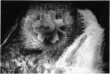 Kosuke (*1986, Japan): WARNING #35 – Christophe Guye Galerie