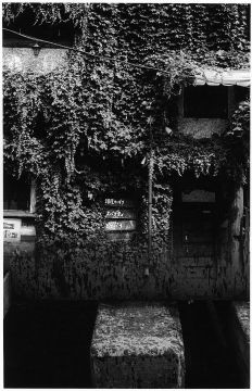 Kosuke (*1986, Japan): WARNING #39 – Christophe Guye Galerie