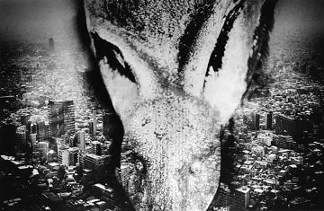 Kosuke (*1986, Japan): WARNING #45 – Christophe Guye Galerie