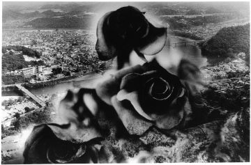 Kosuke (*1986, Japan): WARNING #51 – Christophe Guye Galerie