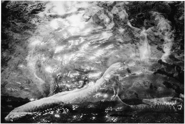Kosuke (*1986, Japan): WARNING #53 – Christophe Guye Galerie