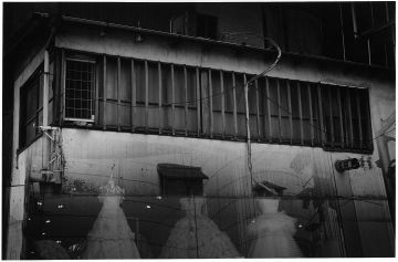 Kosuke (*1986, Japan):  WARNING #54 – Christophe Guye Galerie