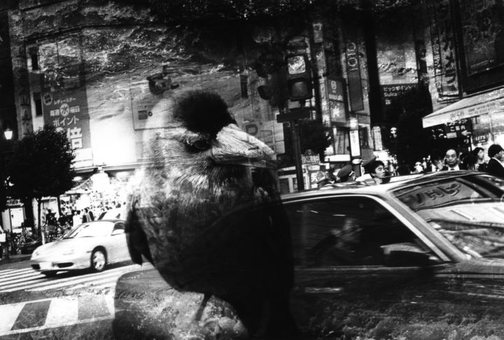 Kosuke – WARNING – Christophe Guye Galerie