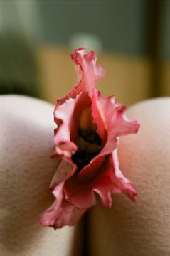 Lina SCHEYNIUS (*1981, Sweden): Untitled (Flower) – Christophe Guye Galerie