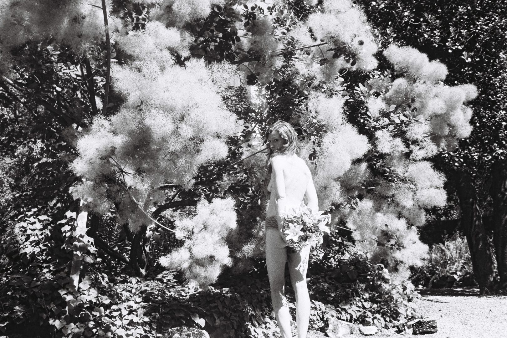 Marianne MARIĆ (*1982, France): Le Jardin D Haggadah, from the series 'Rose Sarajevo' – Christophe Guye Galerie