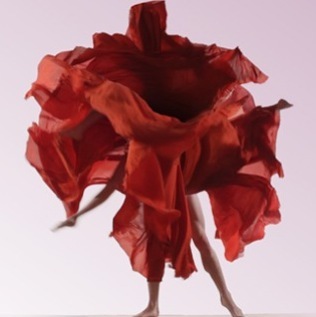 Nick KNIGHT (*1958, Great Britain); moving imagery by Tell No One: Dynamic Blooms – Christophe Guye Galerie