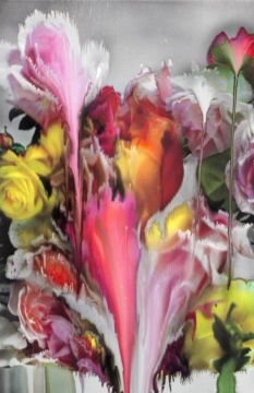Nick KNIGHT (*1958, Great Britain): Rose V – Christophe Guye Galerie