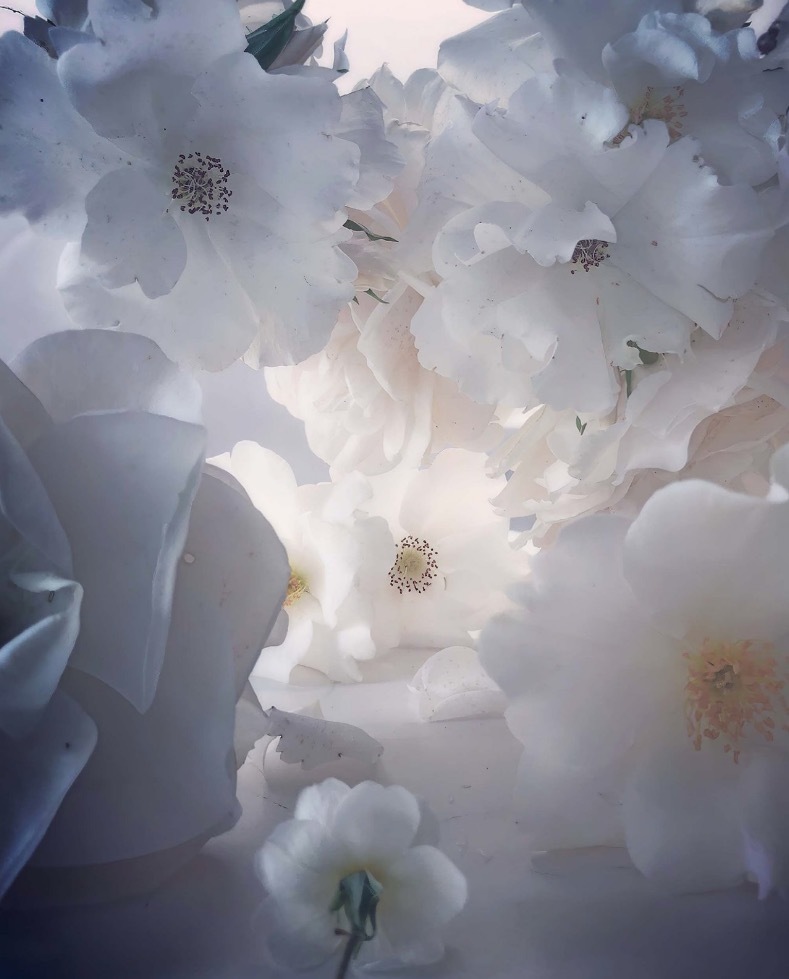 Nick KNIGHT (*1958, Great Britain): Monday 28th May, 2018 – Christophe Guye Galerie