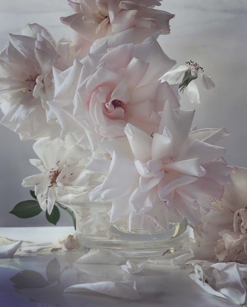 Nick KNIGHT (*1958, Great Britain): Saturday 26th May 2018 – Christophe Guye Galerie