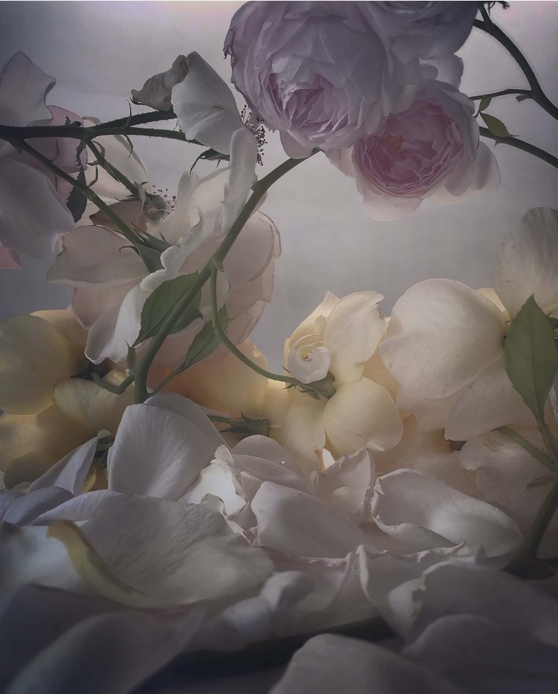 Nick KNIGHT (*1958, Great Britain): Sunday 8th July 2018 – Christophe Guye Galerie