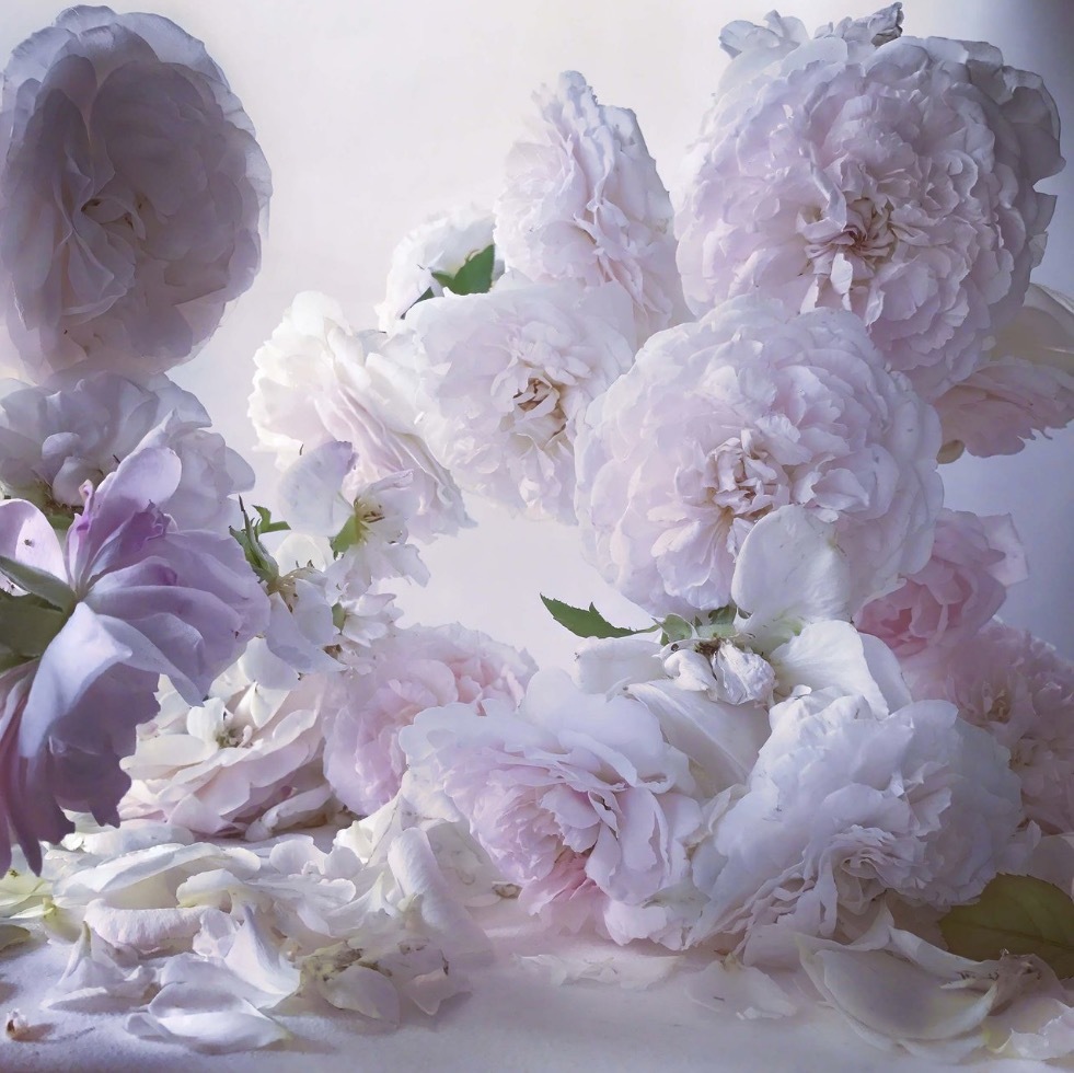 Nick KNIGHT (*1958, Great Britain): Thursday 3rd August 2017 – Christophe Guye Galerie