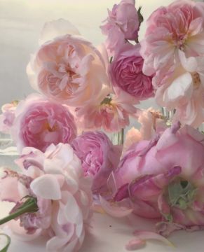Nick KNIGHT (*1958, Great Britain): Friday 8th June 2018 – Christophe Guye Galerie