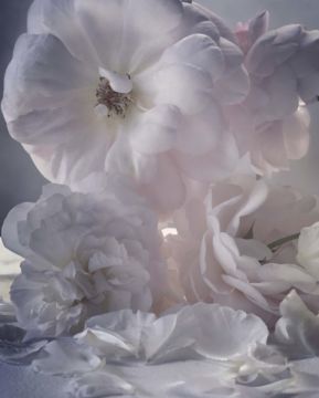 Nick KNIGHT (*1958, Great Britain): Monday 28th August 2017 – Christophe Guye Galerie