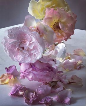 Nick KNIGHT (*1958, Great Britain): Saturday 14th July 2018 – Christophe Guye Galerie