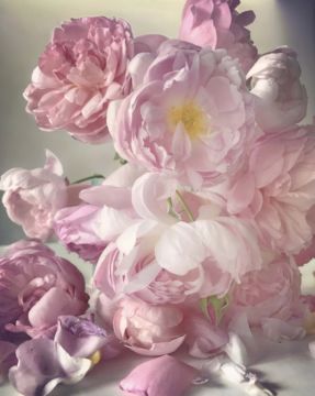Nick KNIGHT (*1958, Great Britain): Sunday 6th November 2016 – Christophe Guye Galerie