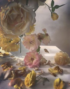 Nick KNIGHT (*1958, Great Britain): Sunday 9th July 2017 – Christophe Guye Galerie