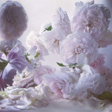 Nick KNIGHT (*1958, Great Britain): Thursday 3rd August 2017 – Christophe Guye Galerie